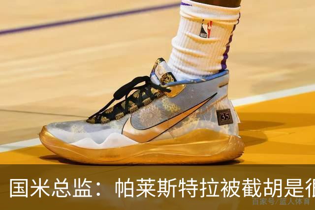 国米总监：帕莱斯特拉被截胡是很正常的事 我们与英超有经济差距
